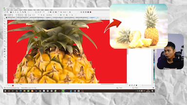 video_24c_1777294683